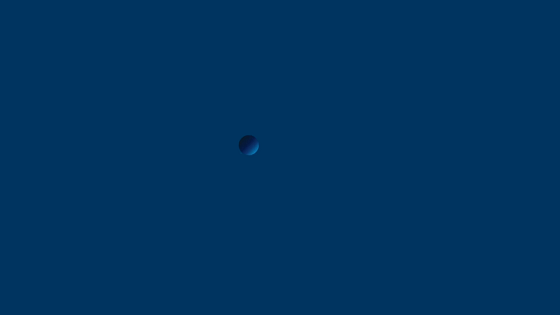 狗子28官方网站