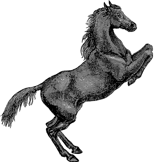 狗子28官方网站